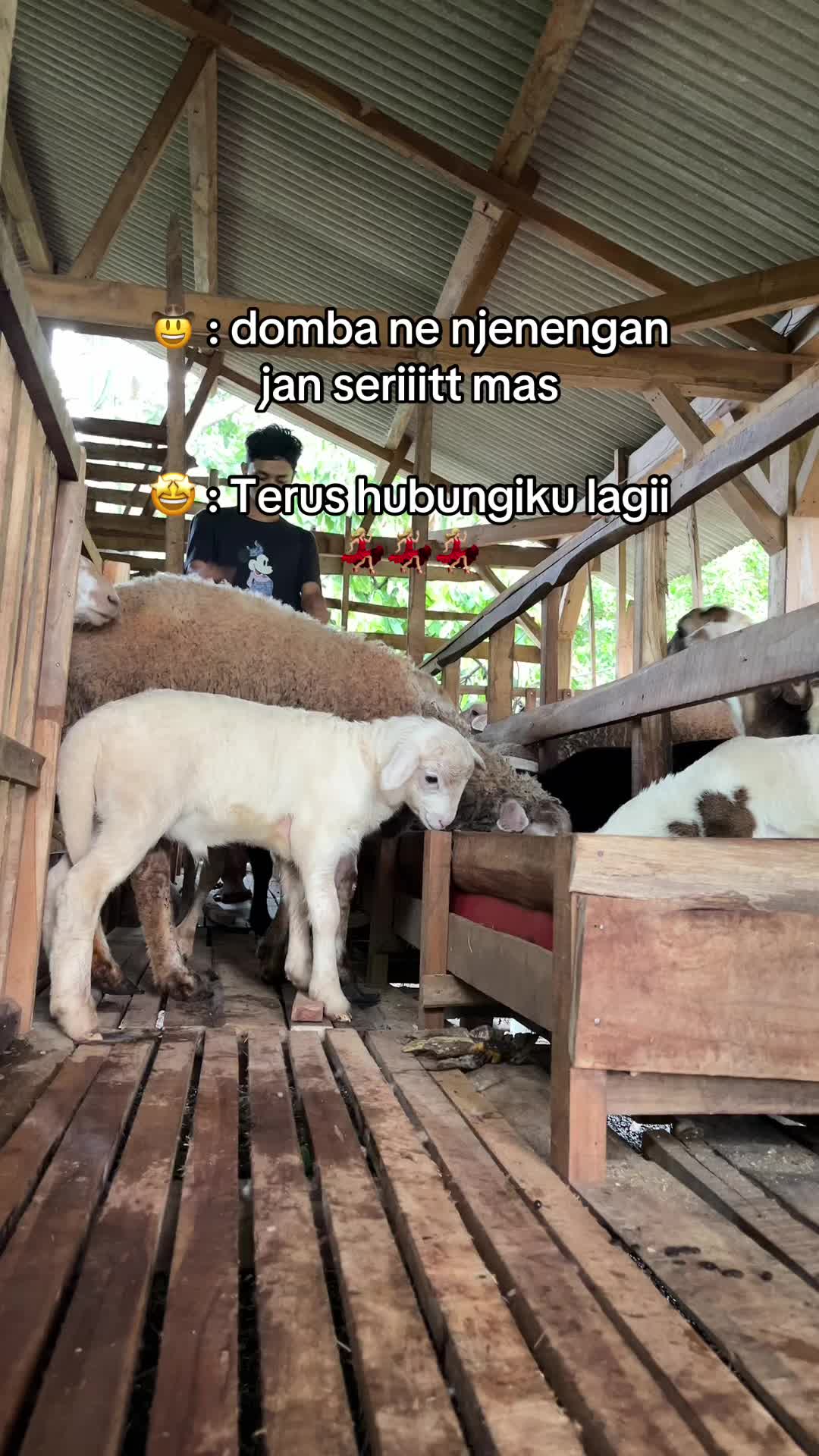 @DhanniaFarm