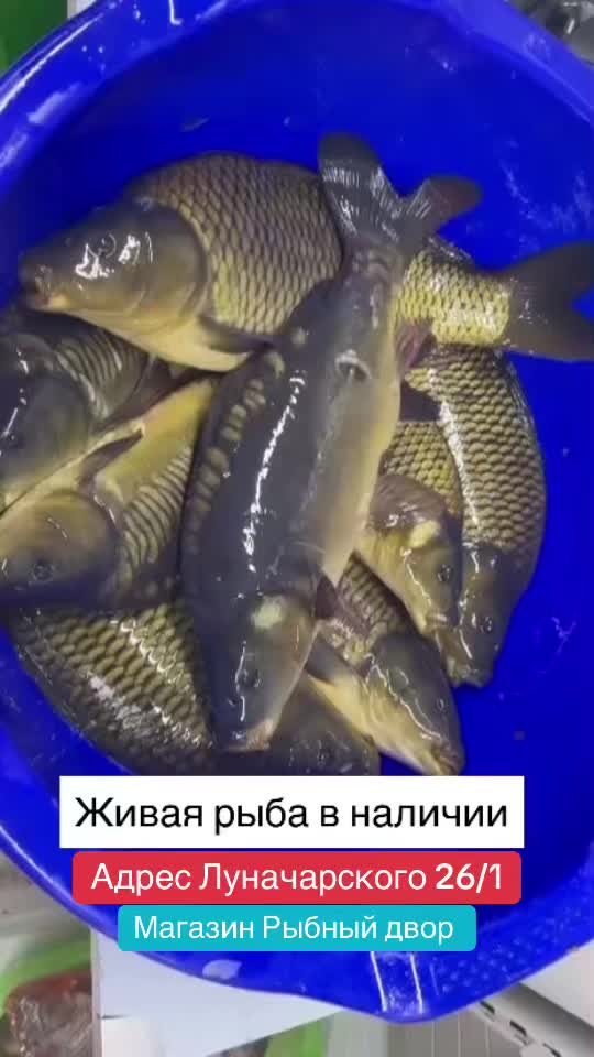 @Доска Павлодар