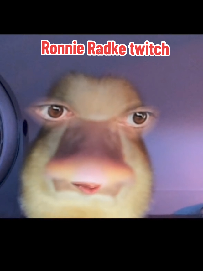 @Radkefaneurope