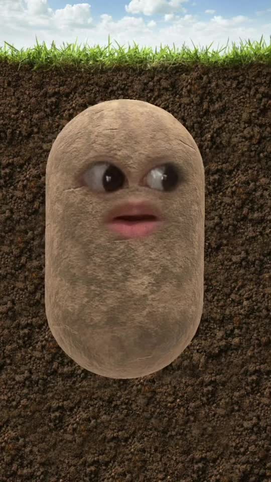 @Spudtacular8