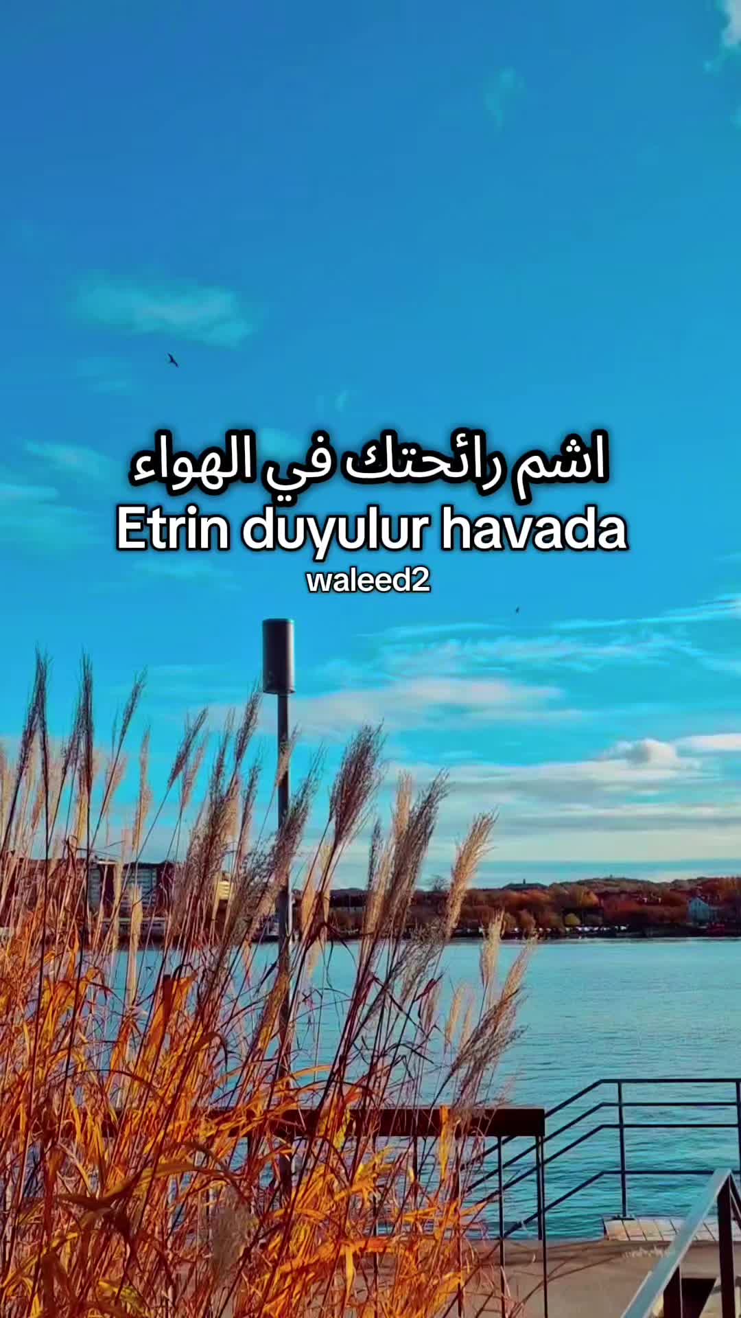 @Waleed 2