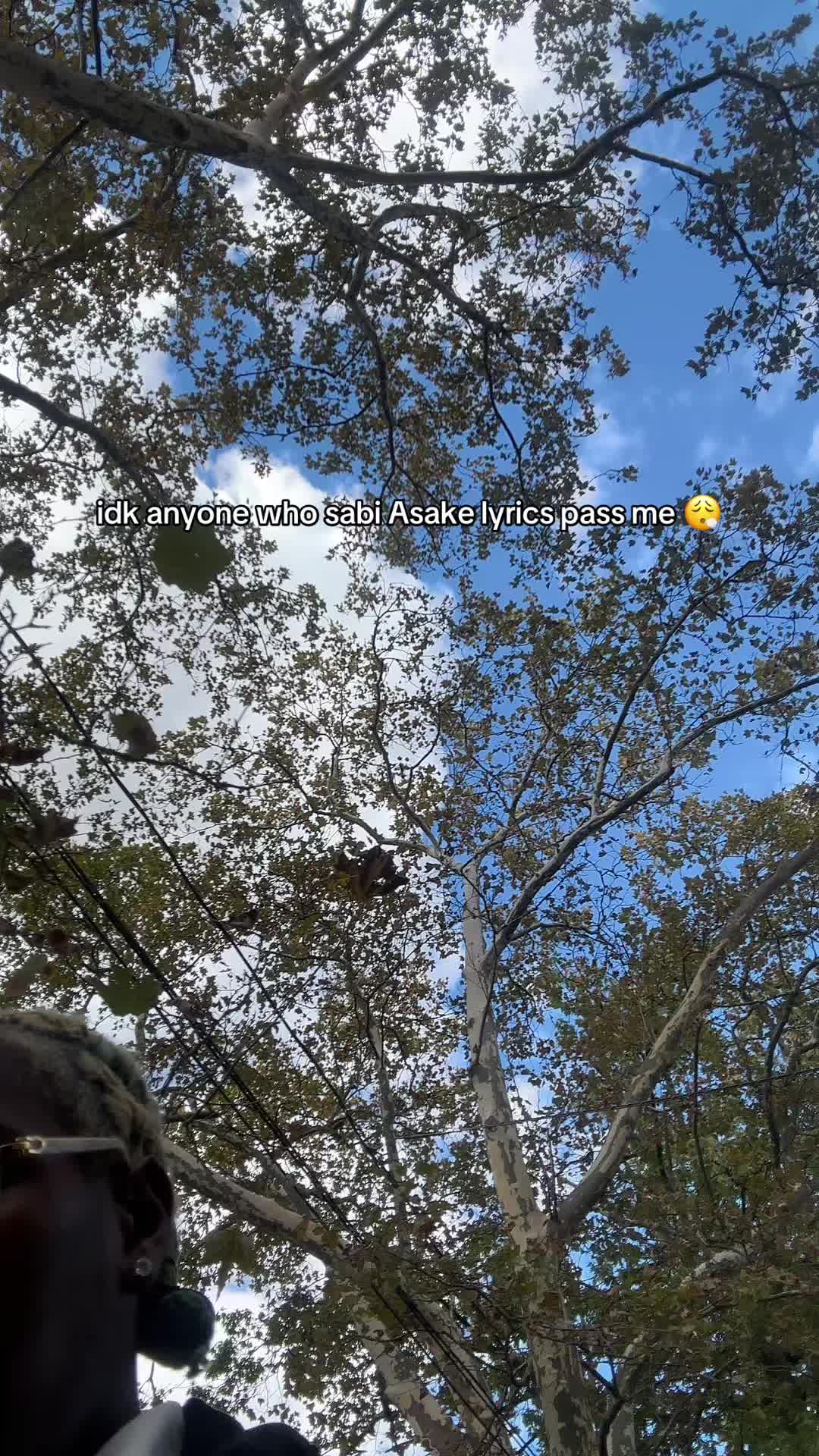 @GMG 🕷️