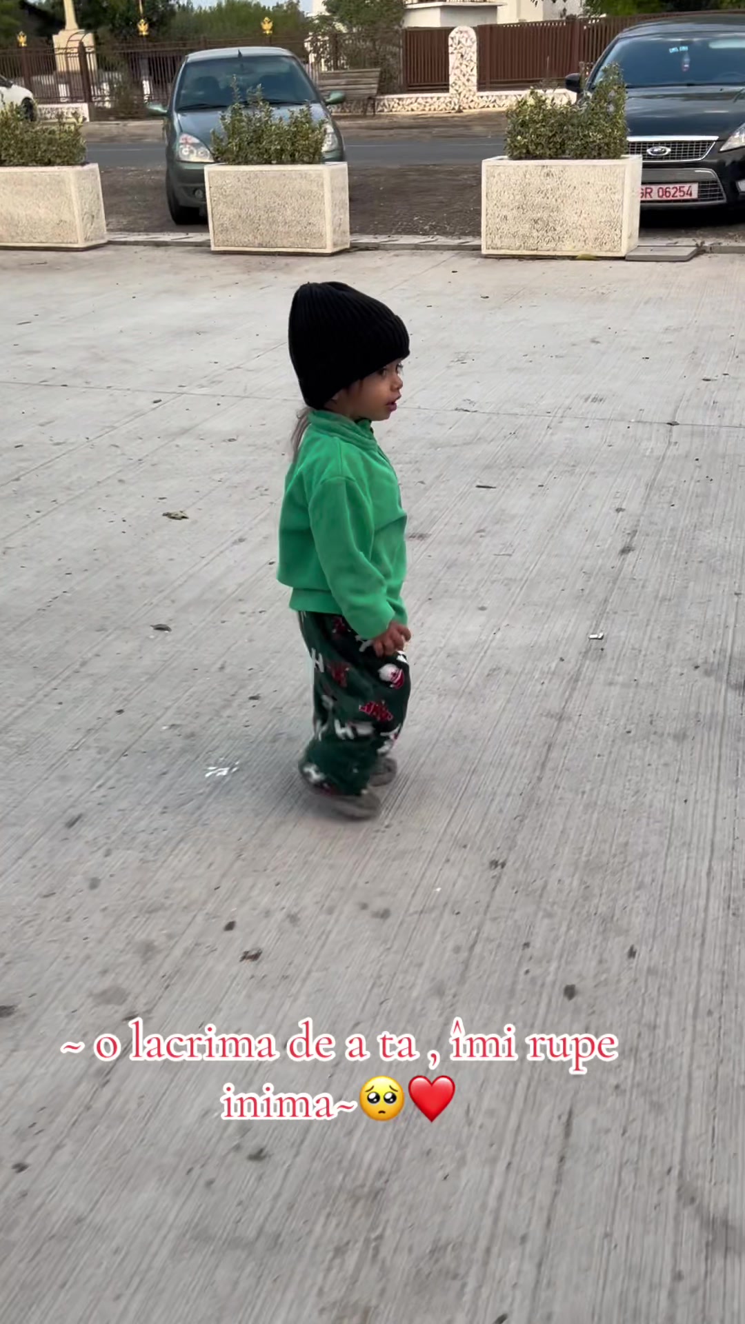 @🌸🐍Andreeușca🐍🌸