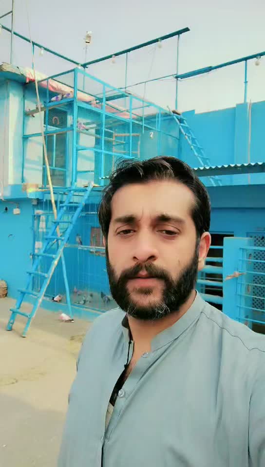 @shaangujjar222