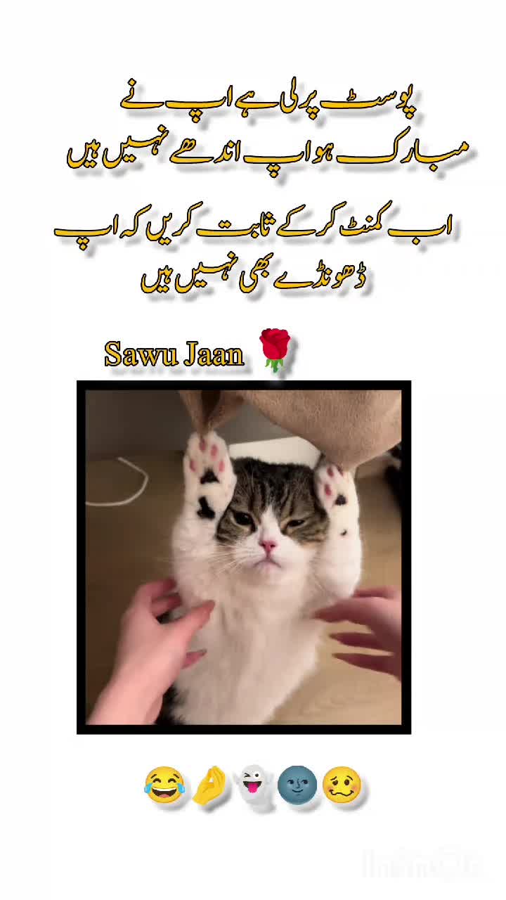 @Sawu Jaan 🌹