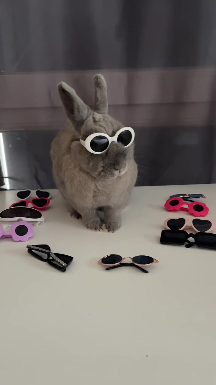 @PantoufleLapin