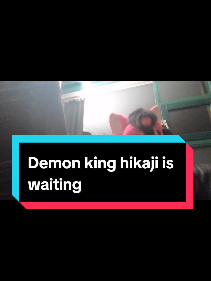 @Hikaji The Husky
