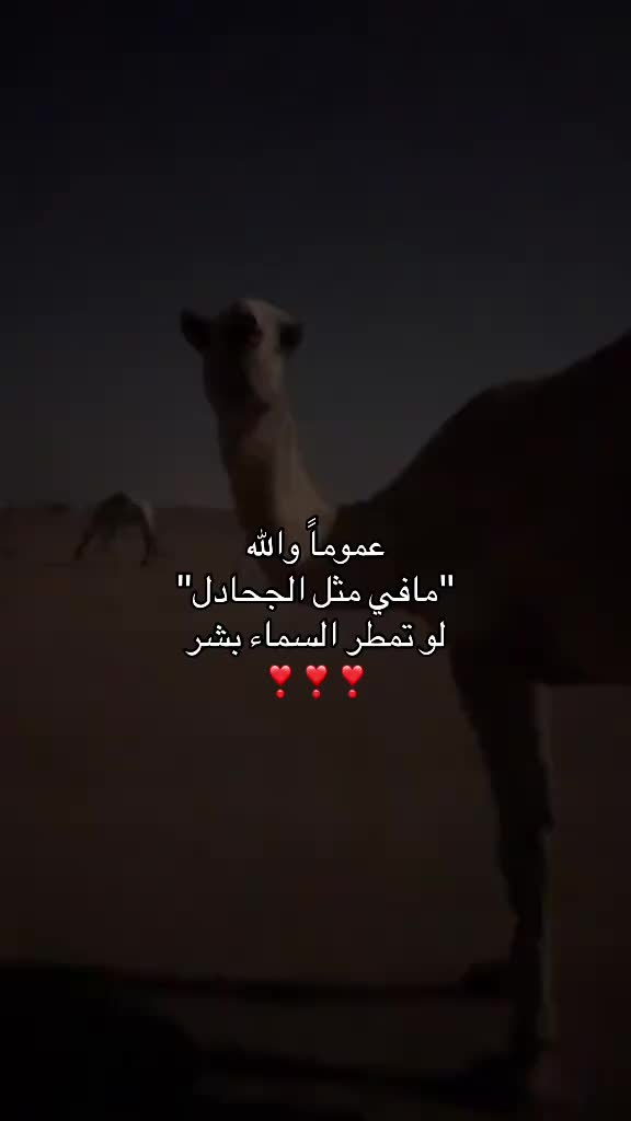 @- صصنهات 📜 .