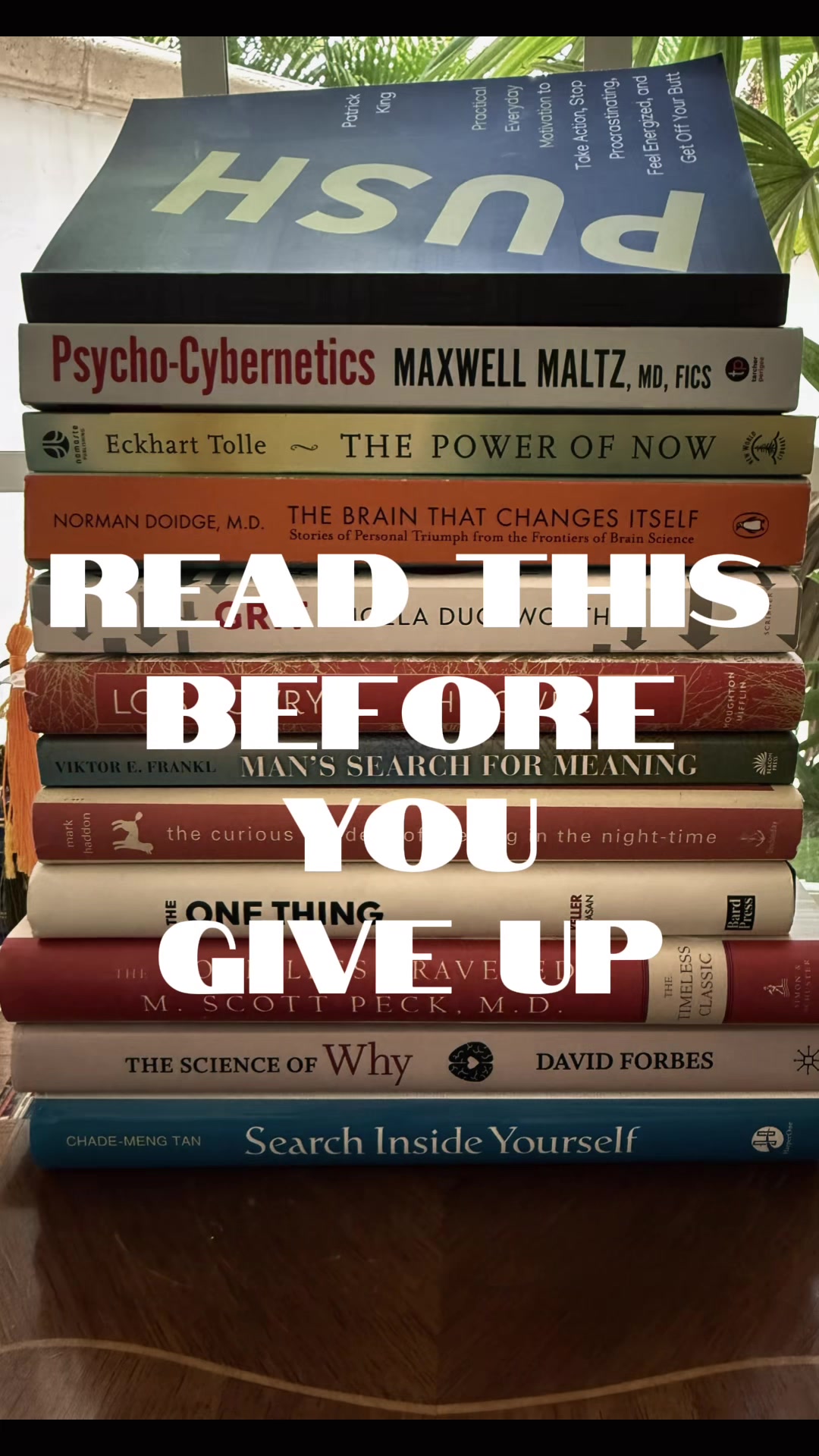 @book wizard