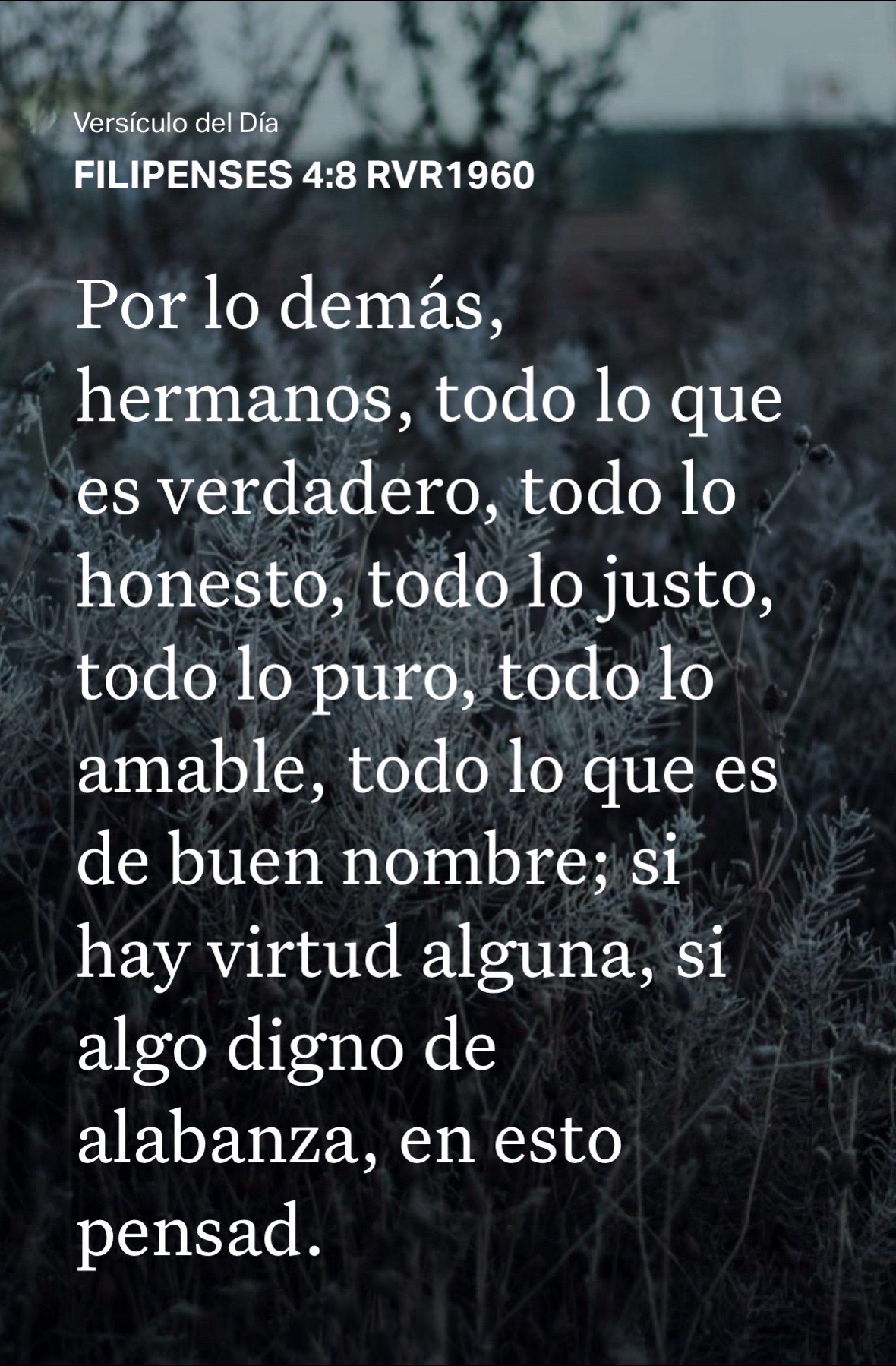 @oaprado