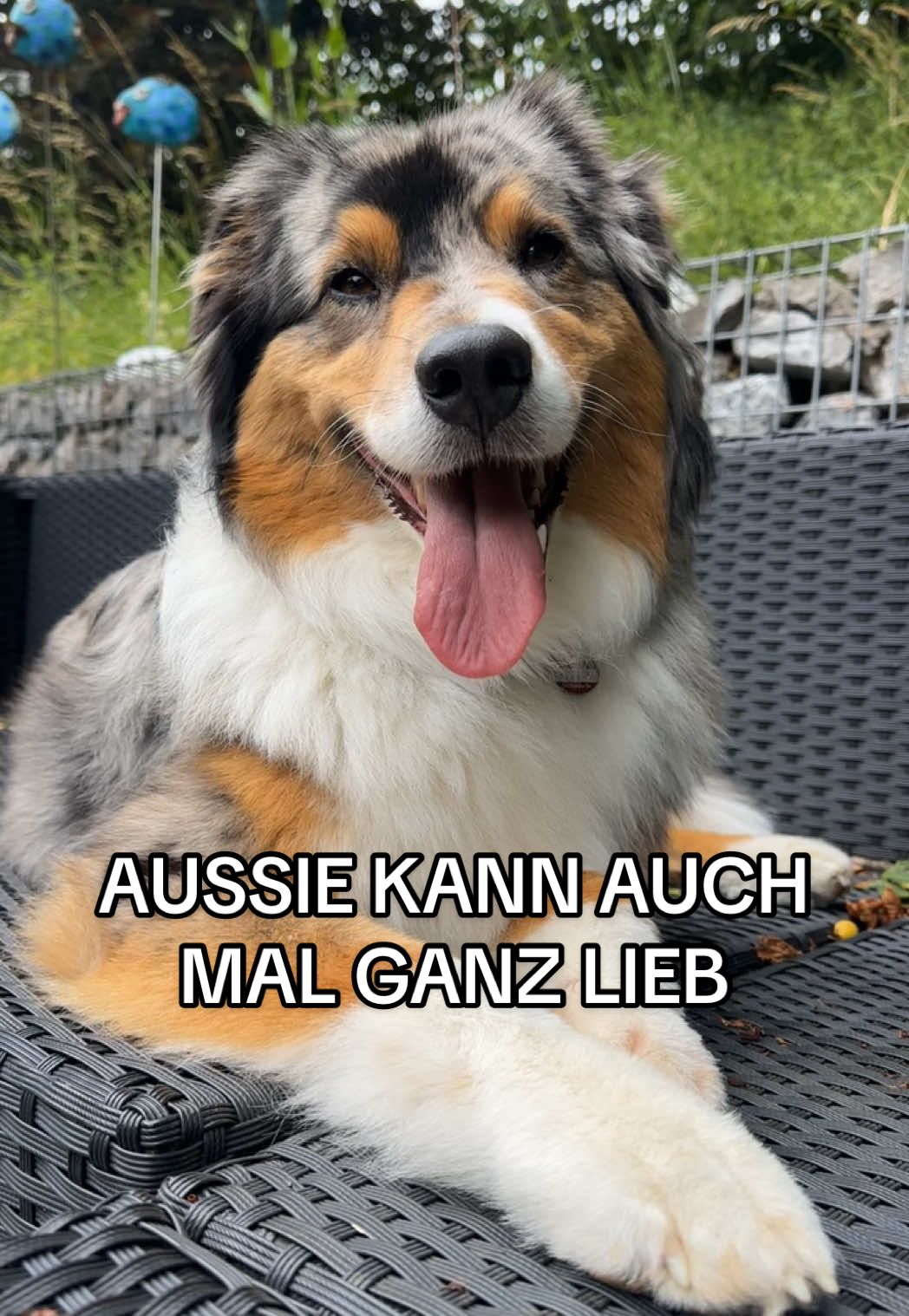 @lisbeth & aise