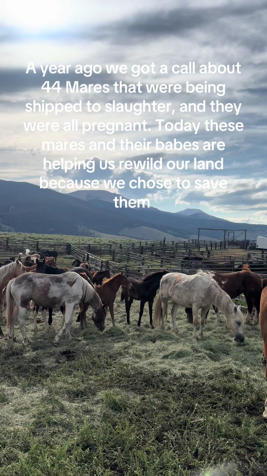@RewildingAmericaNow