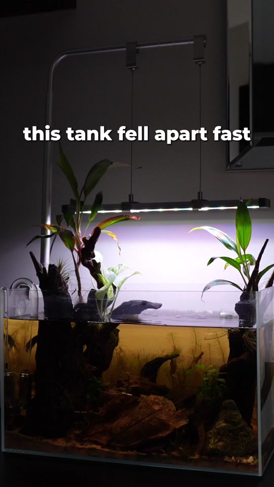 @tankinhabit