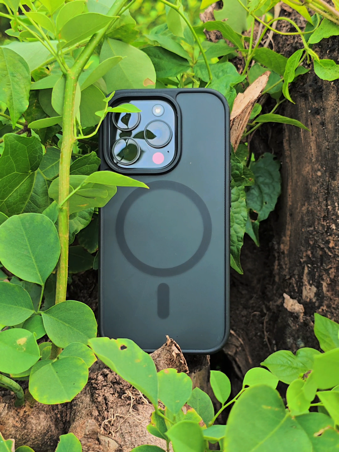 @Galery case_id