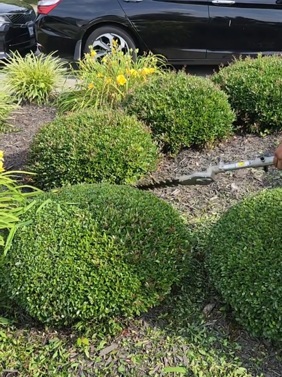 @hdez lawncare