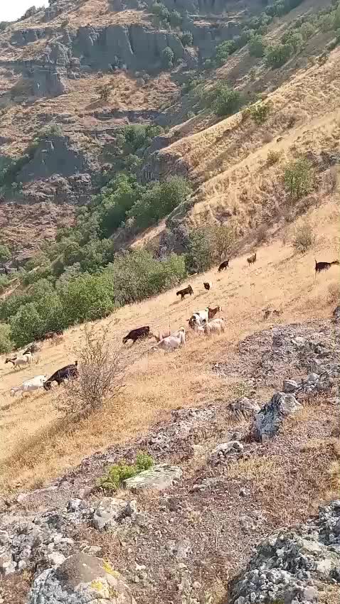 @Elif &Ccedil;etin