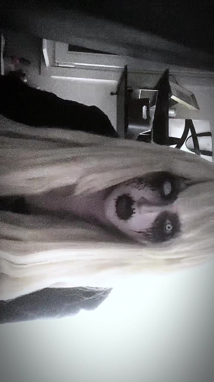 @lily🪷