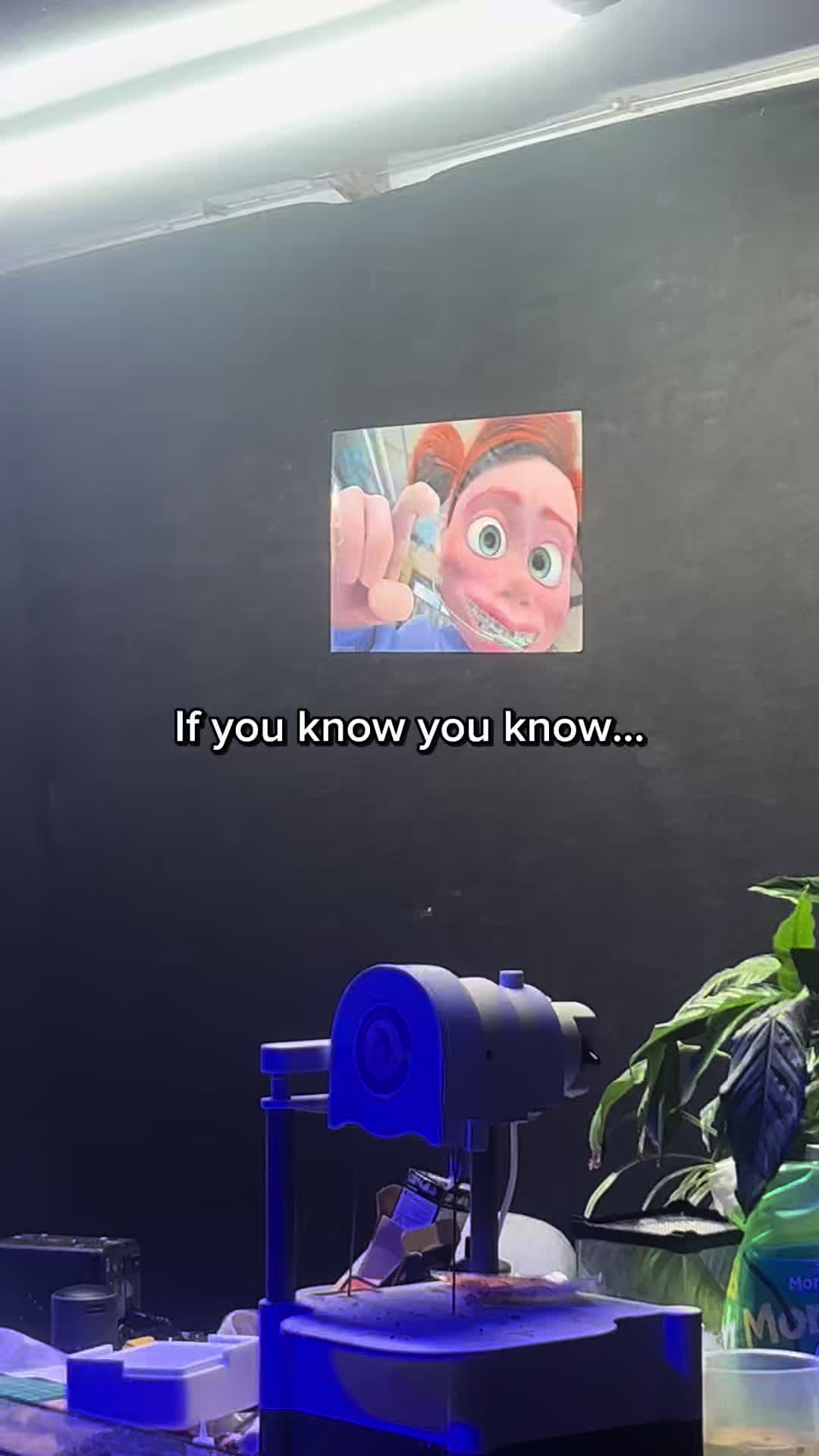 @The King of Coral