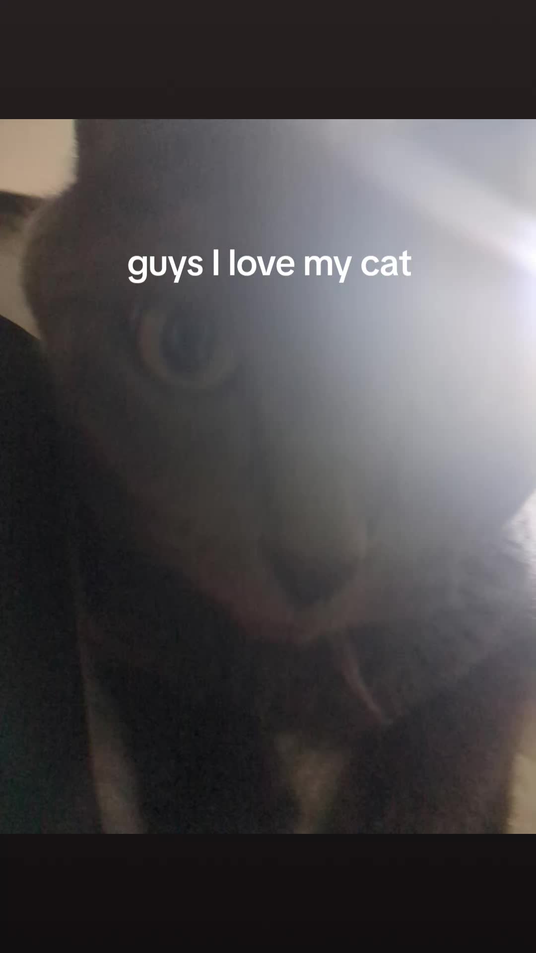 @SpencerLuvsYou