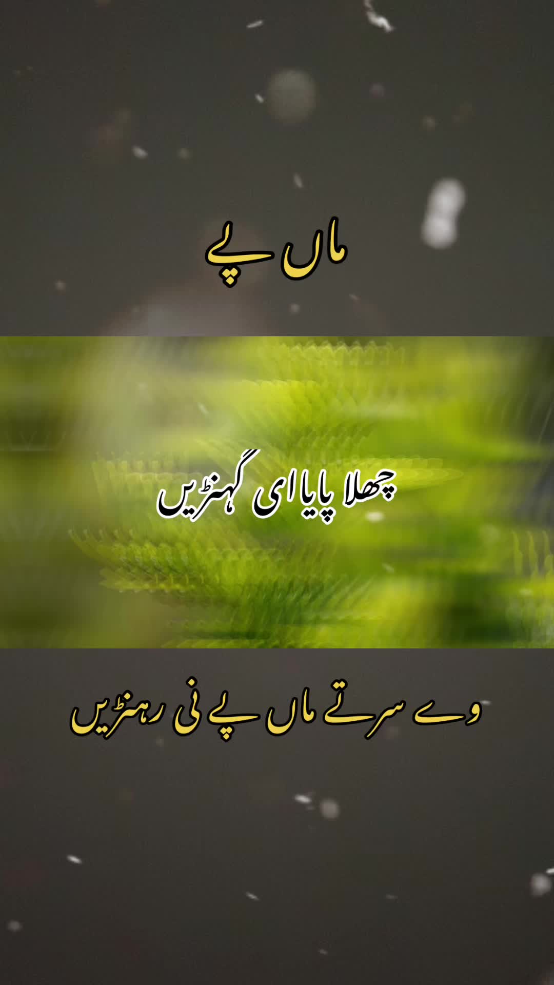 @Jat sab