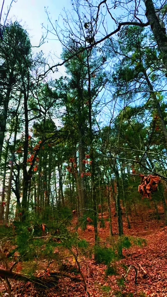 @Davin: Hiking + Outdoors