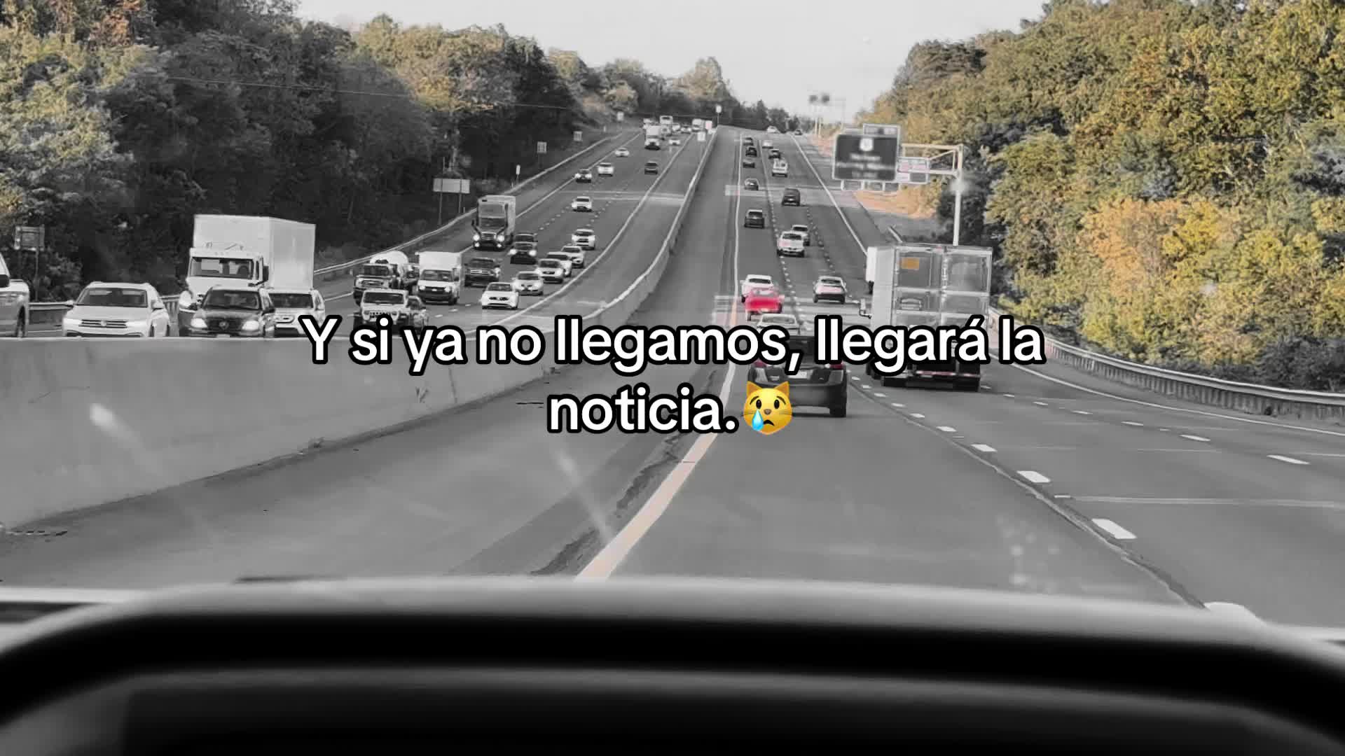 @Ronal 🔥