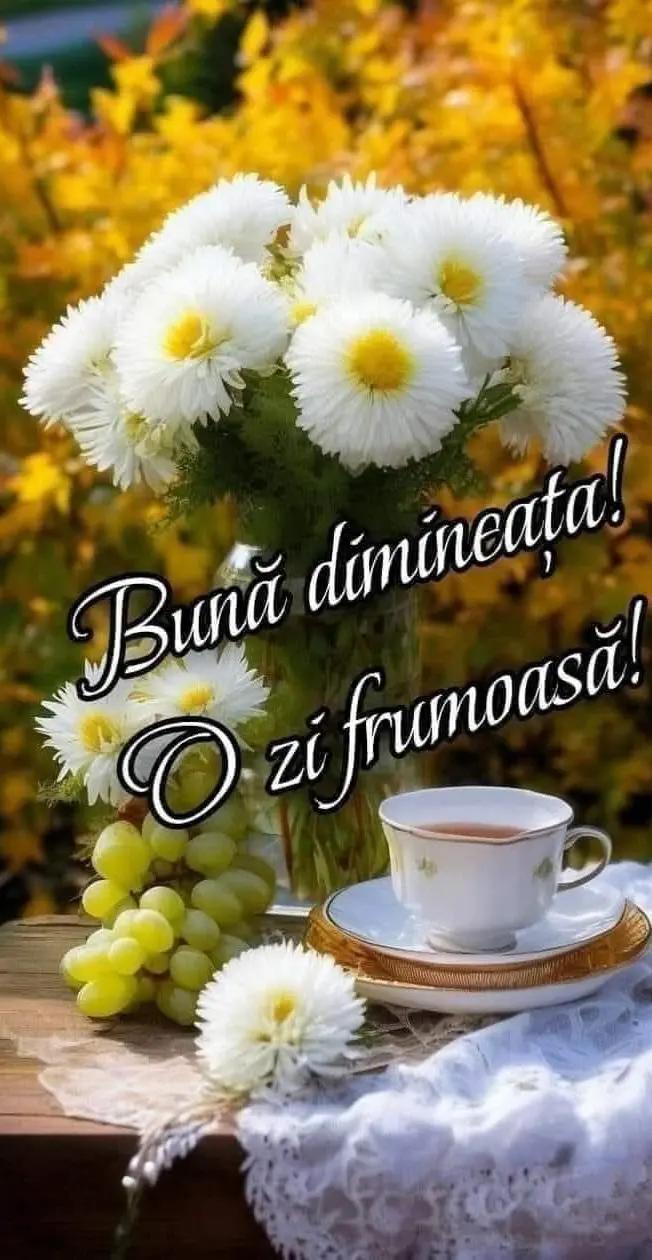 @Nuta Murdeala