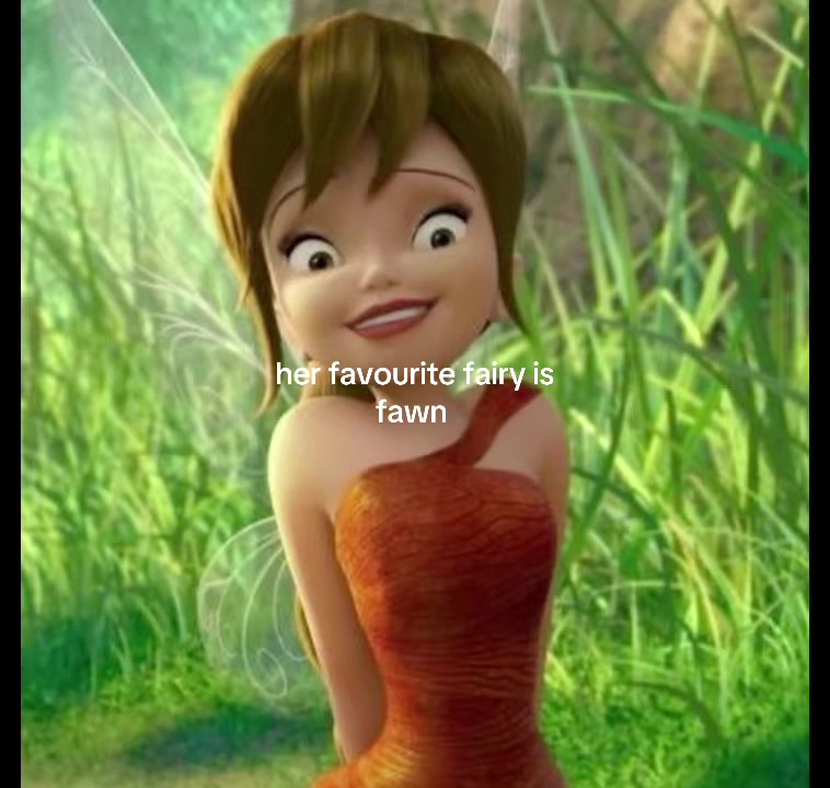 @2disneysisters