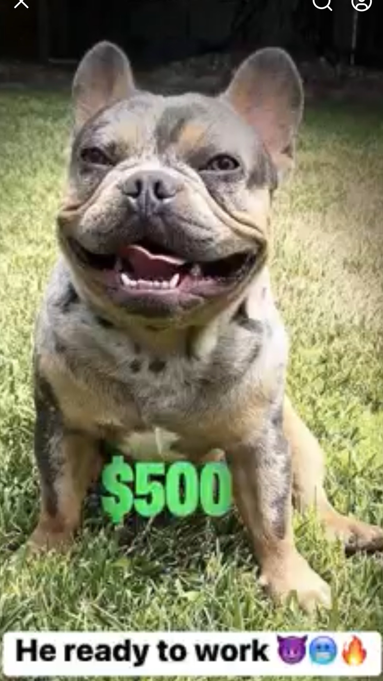@isaac_investments
