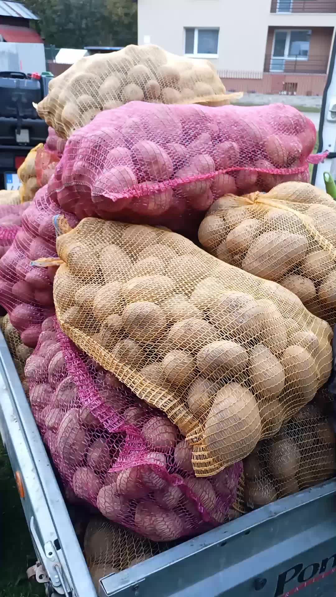 @Brnbalik