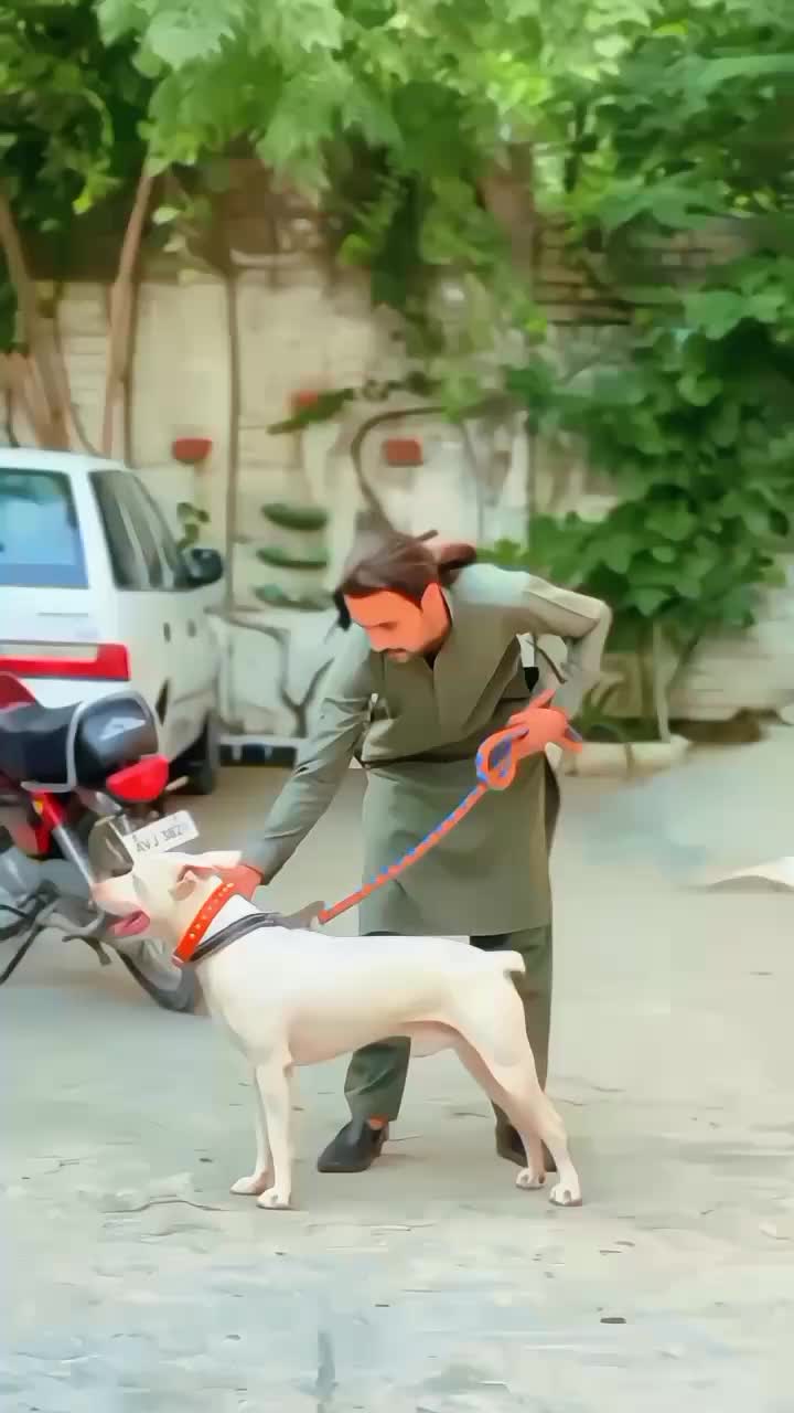 @آویز💸