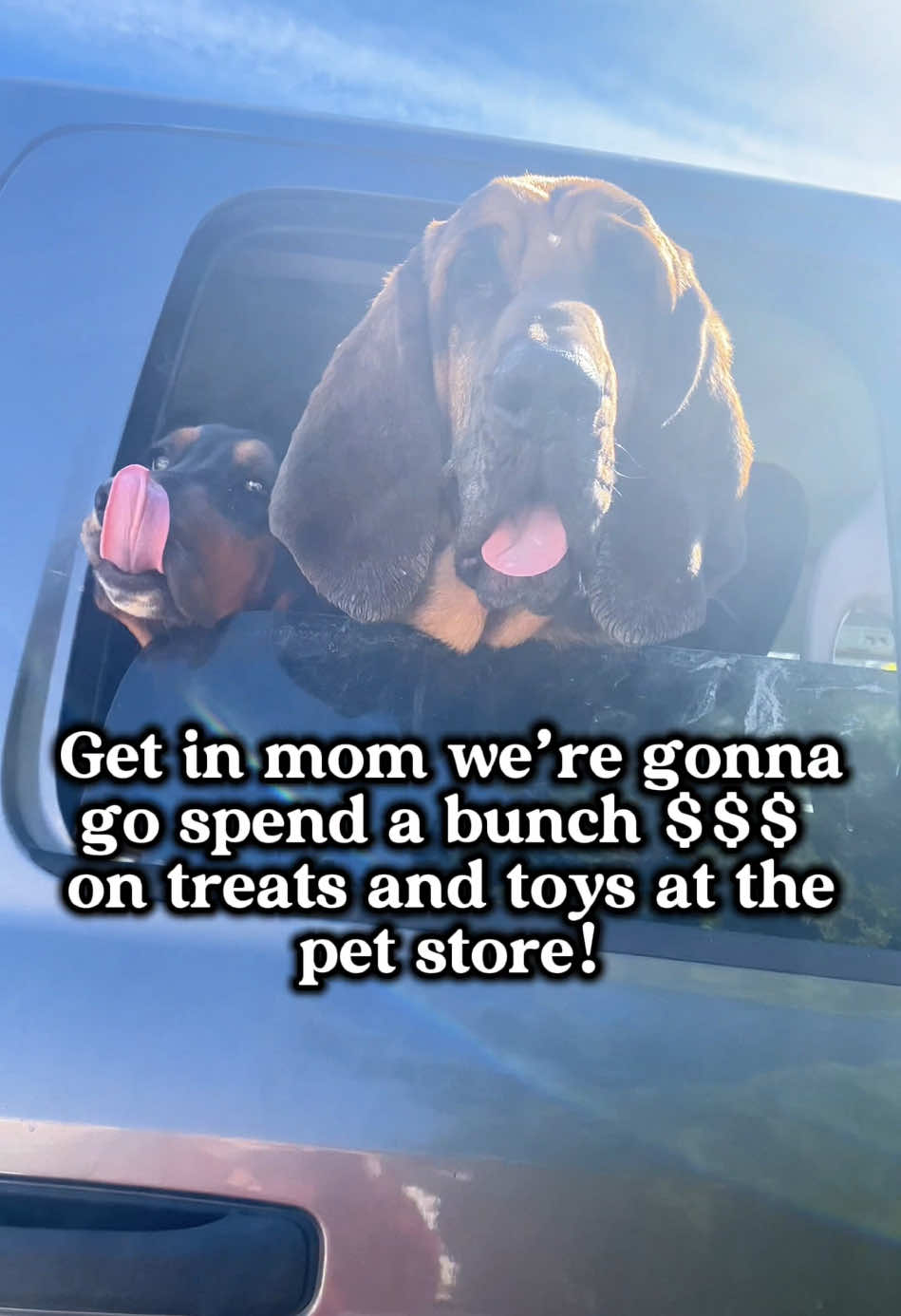 @ruledbyhounds