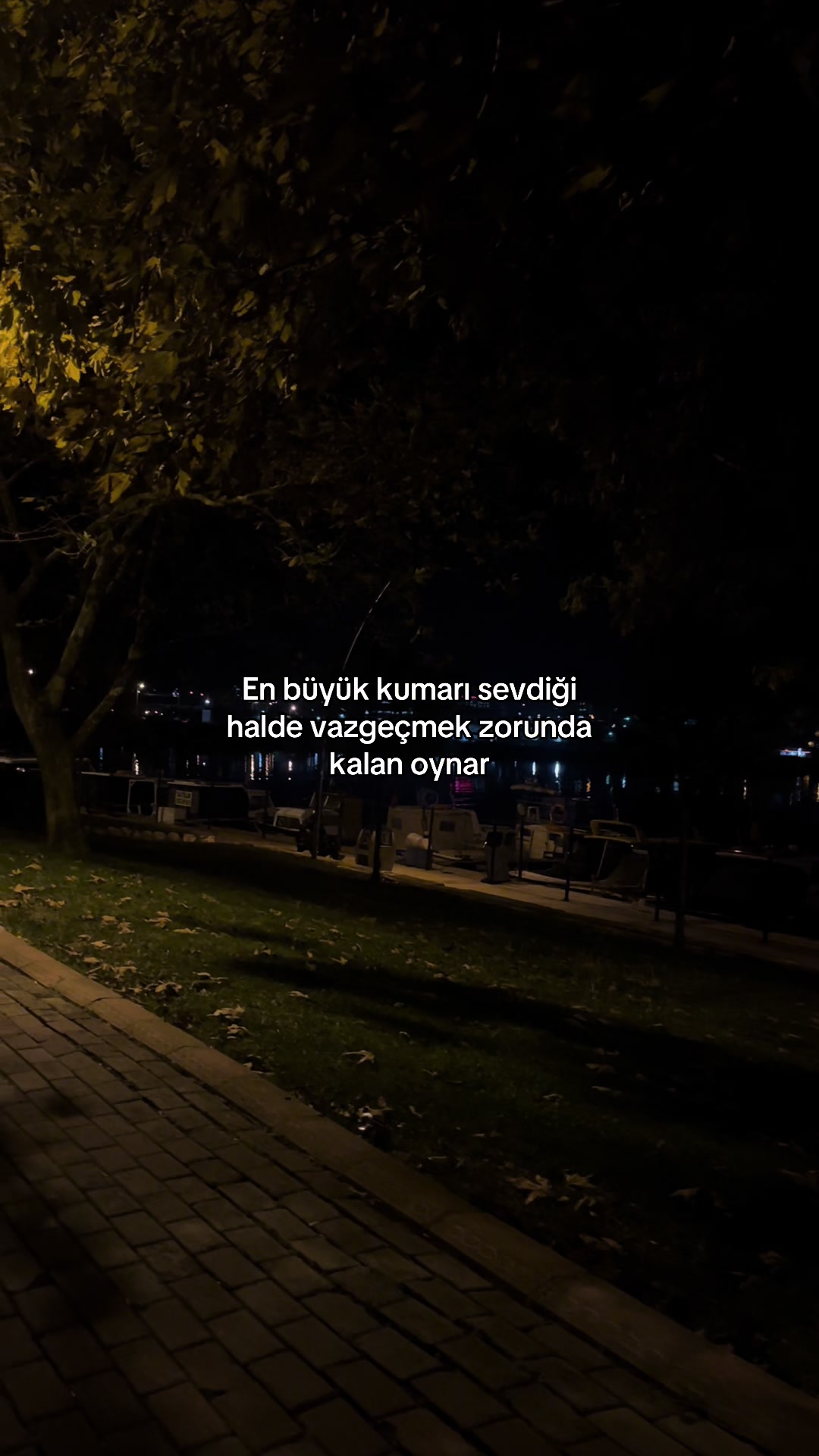 @ezeltv3