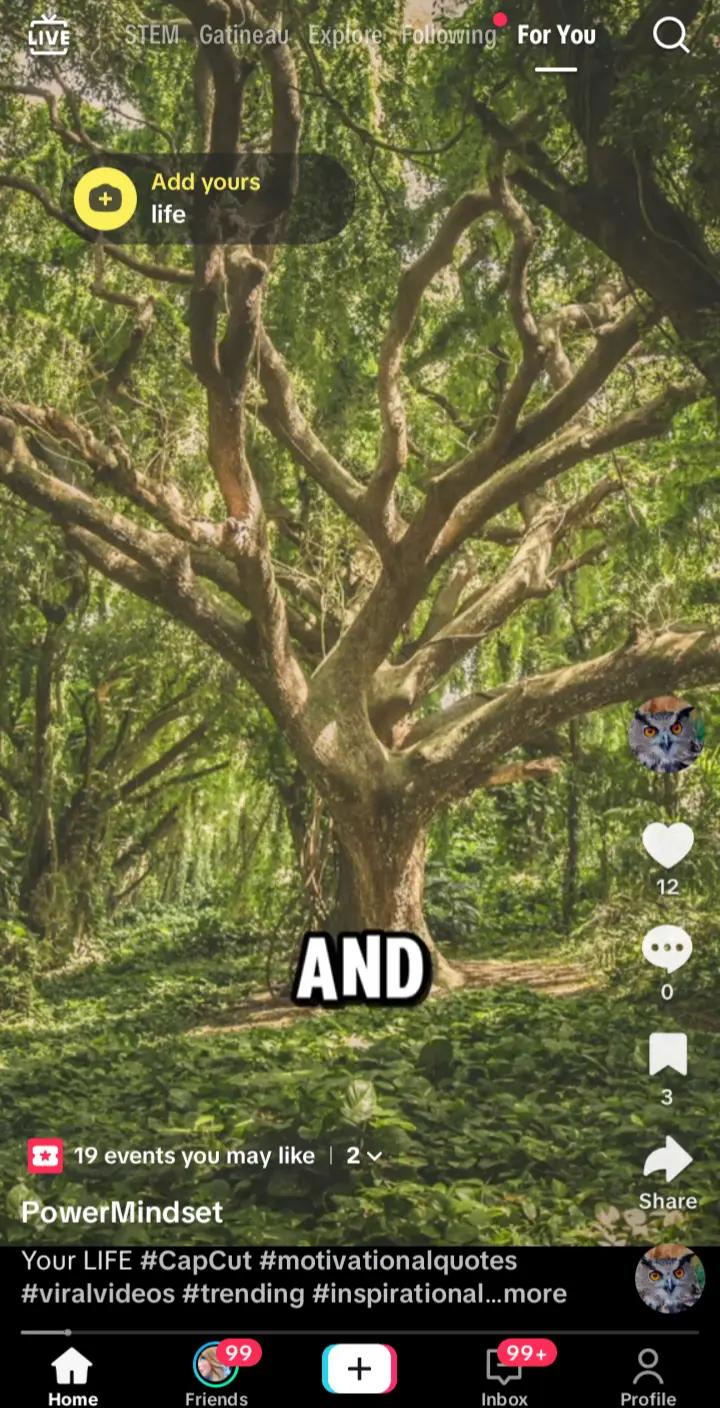 @Suki