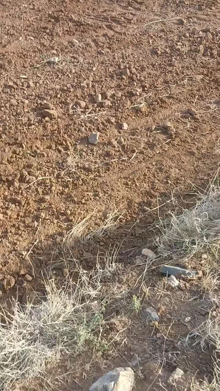 @Deniz Akpınar