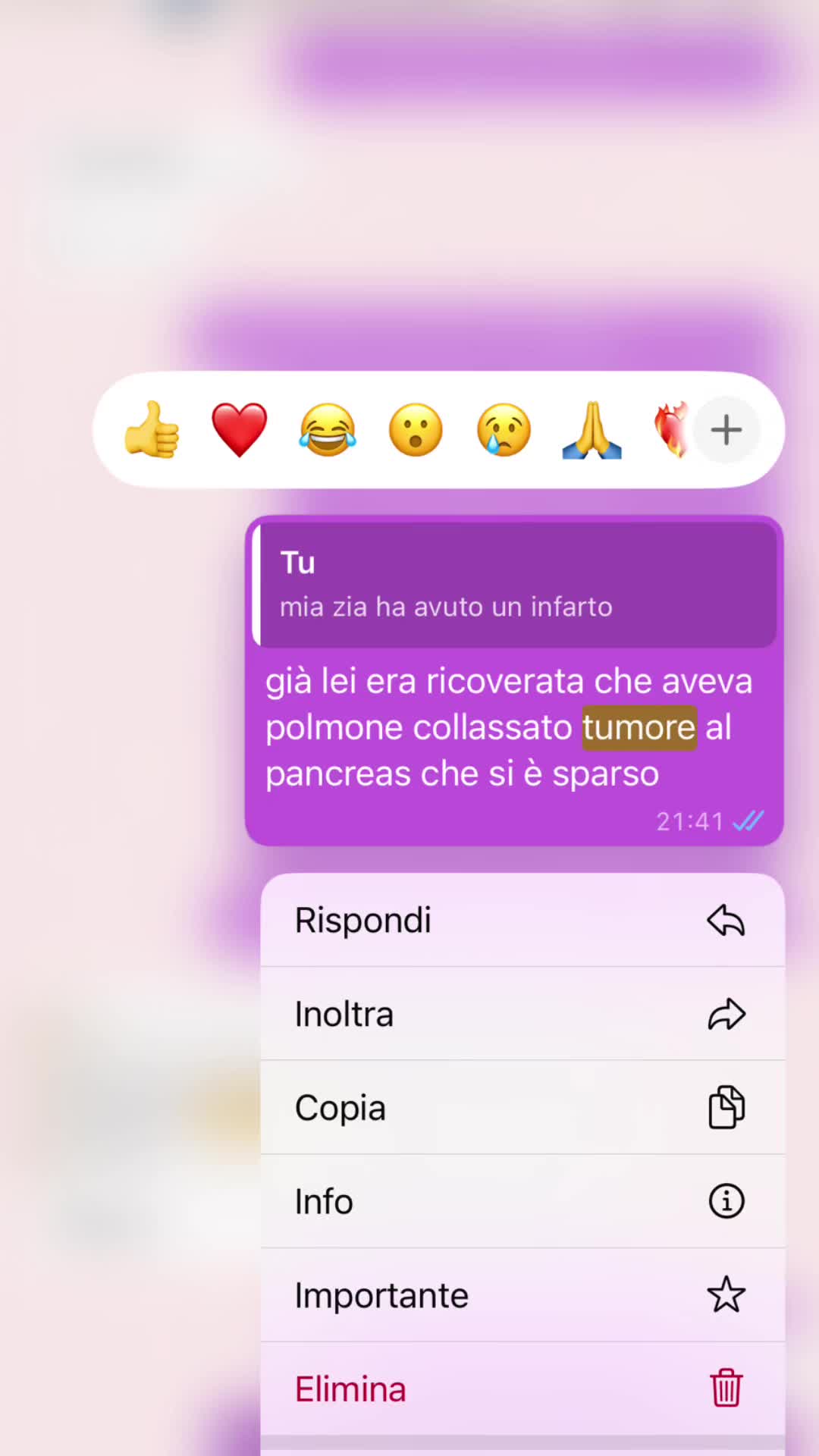 @morena🐆