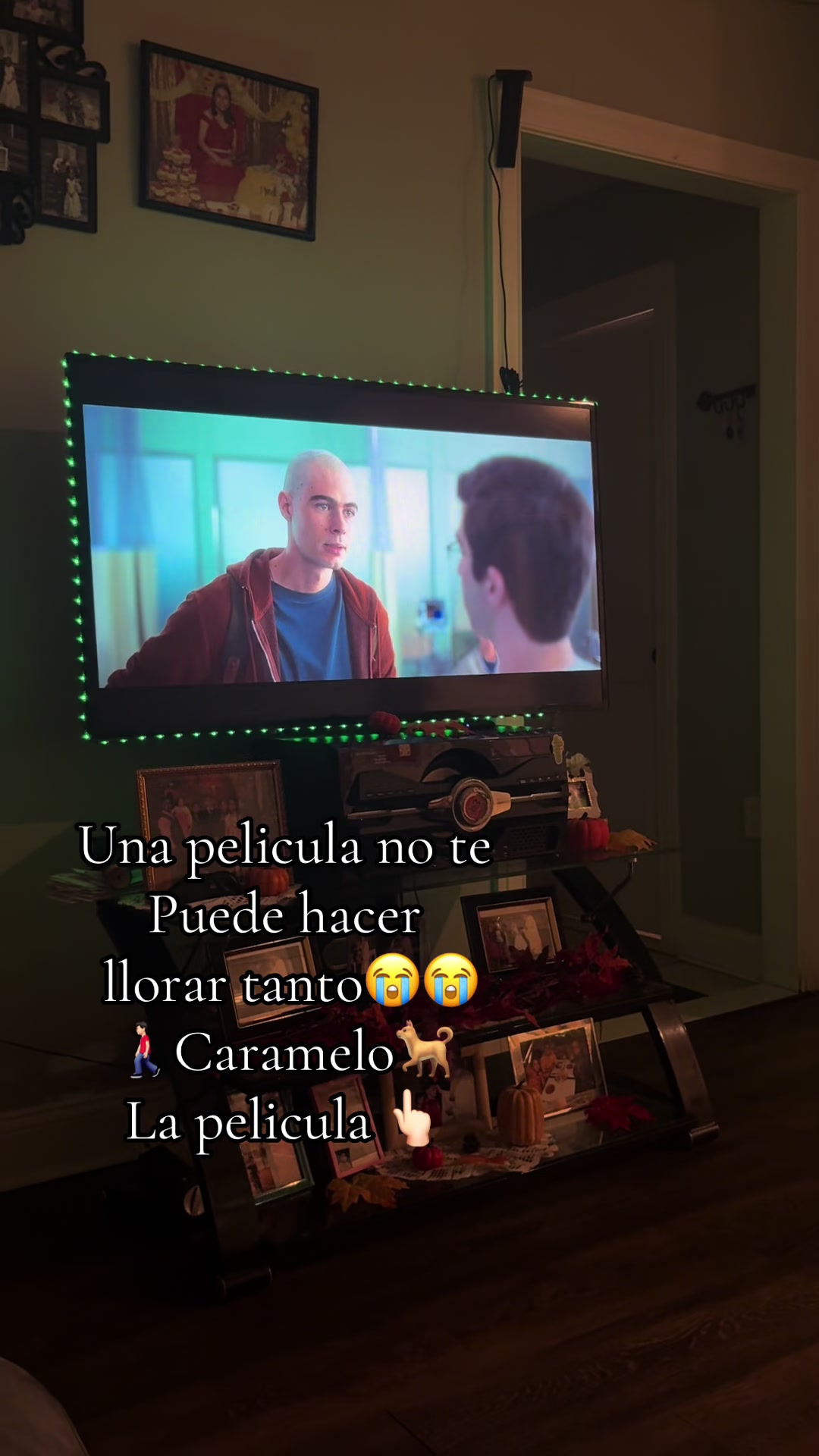 @celiapopoca