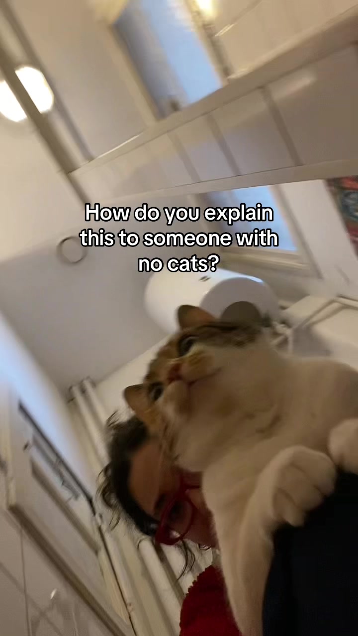 @foodmakeslifebearable