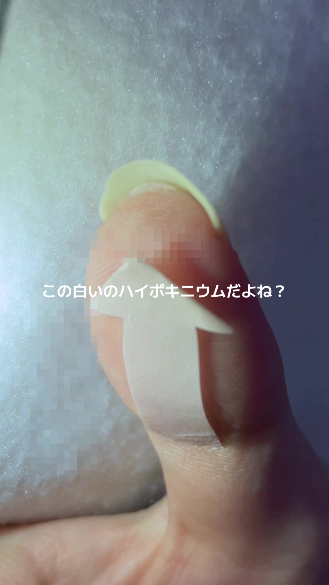 @爪女💅