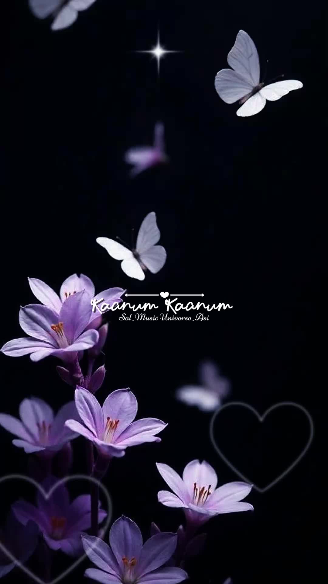 @&hearts;𝙈𝙐𝙎𝙄𝘾 𝙐𝙉𝙄𝙑𝙀𝙍𝙎𝙀&hearts;