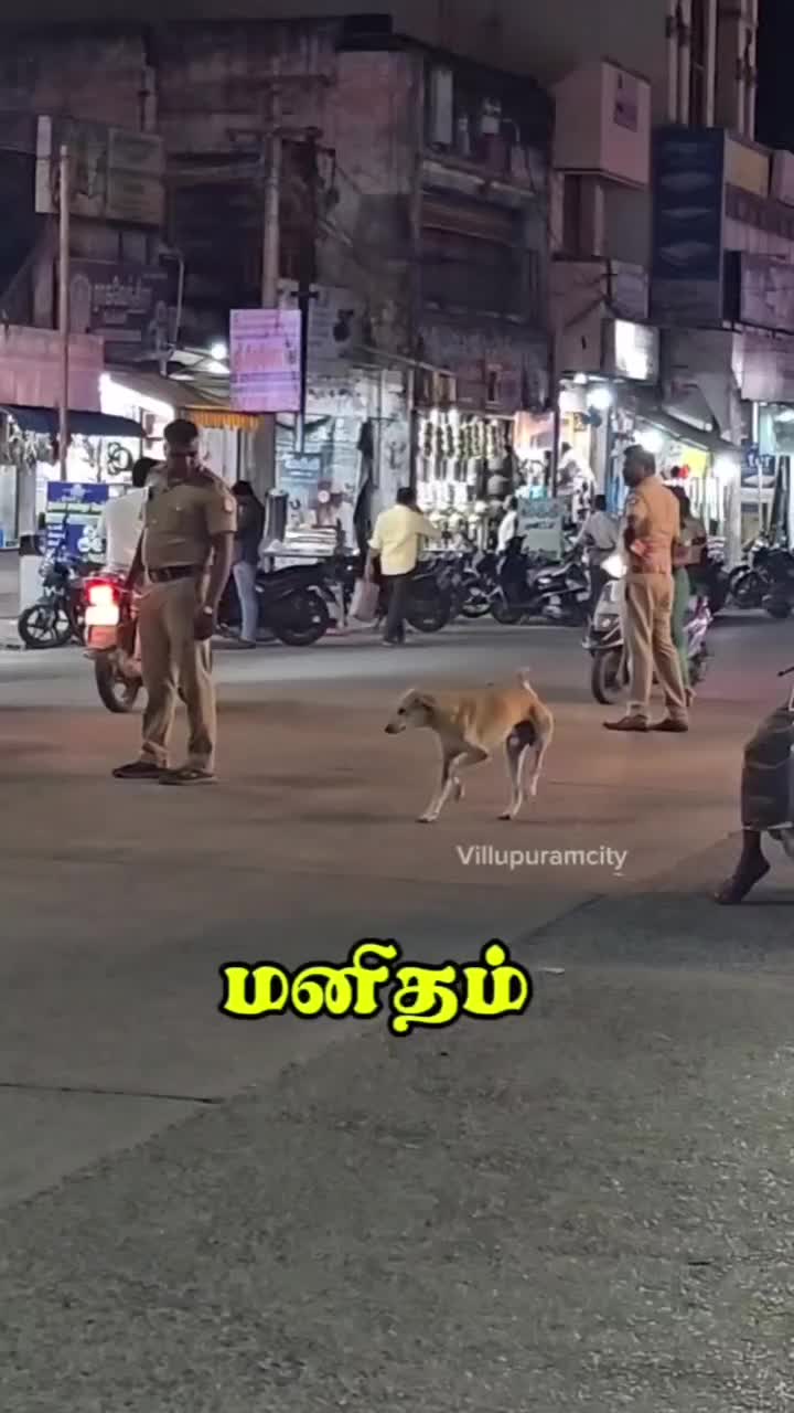 @Imtiyas Imtiyas