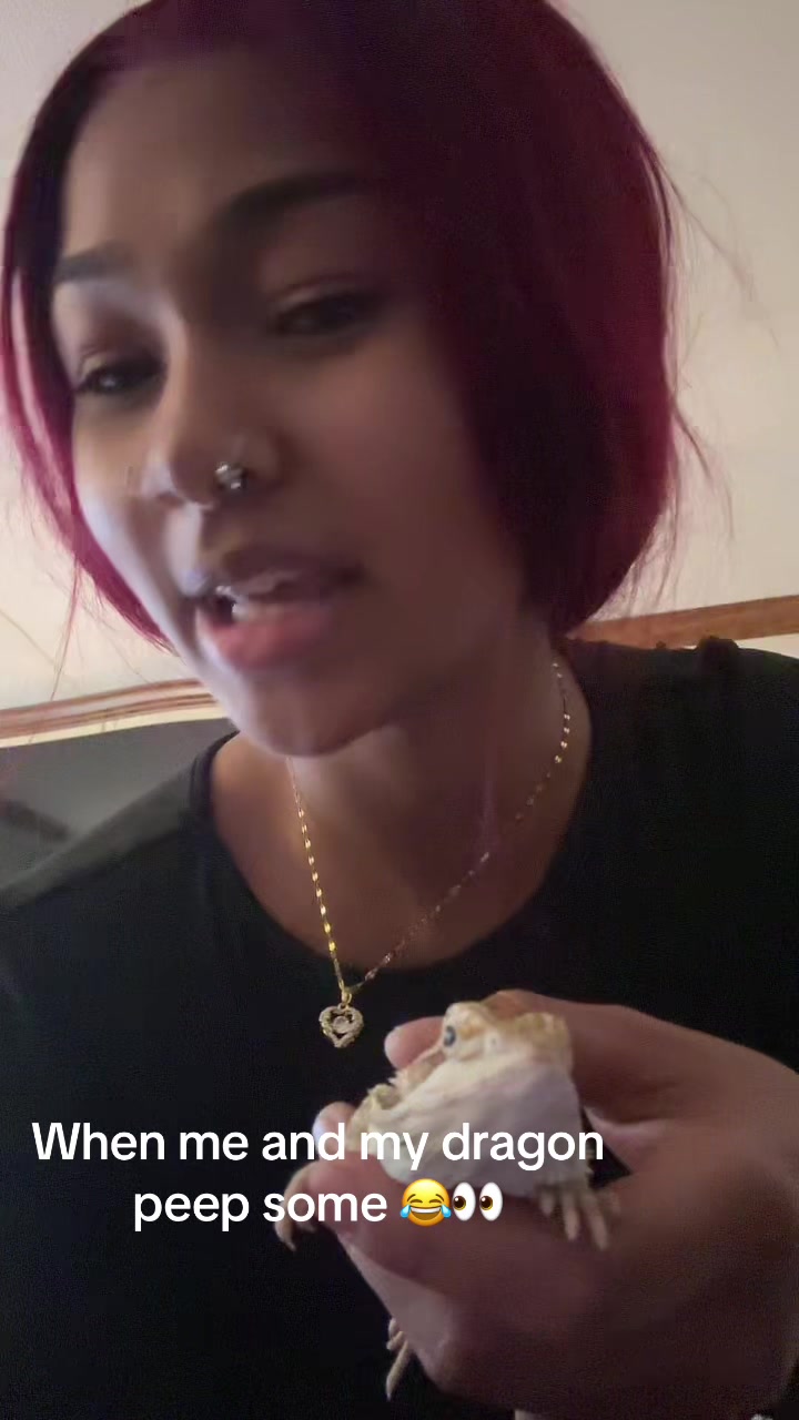 @<33