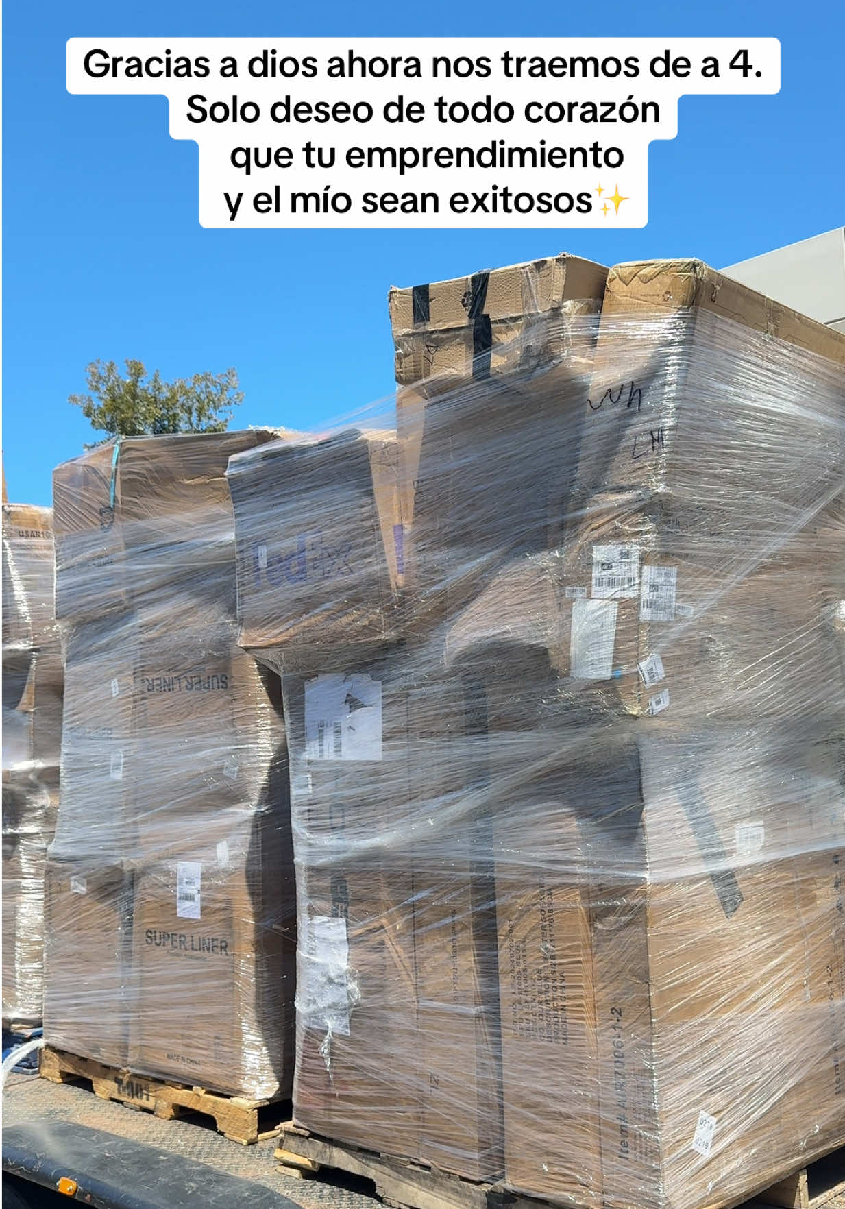 @Lugo Sales🪴