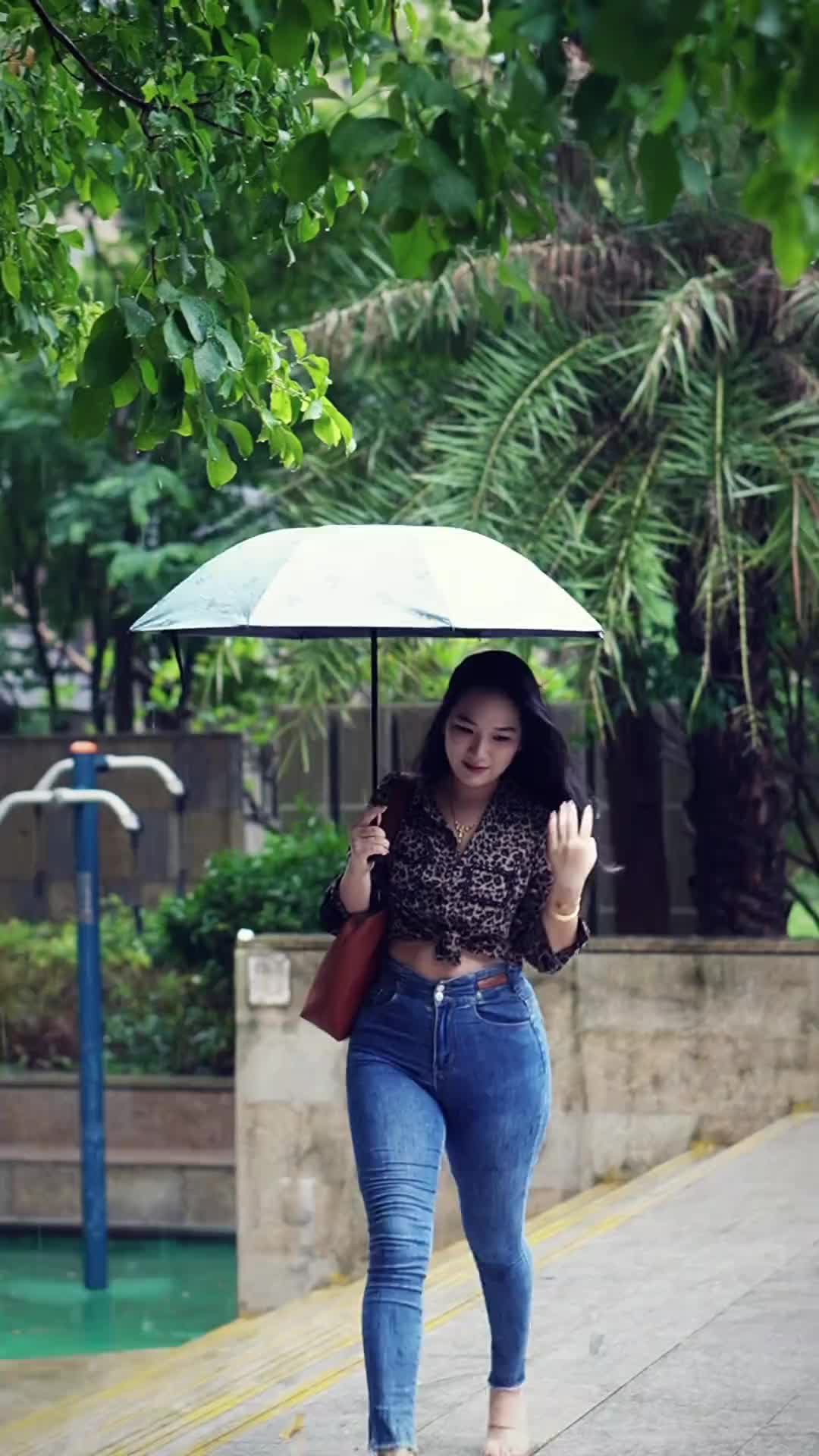 @baubai