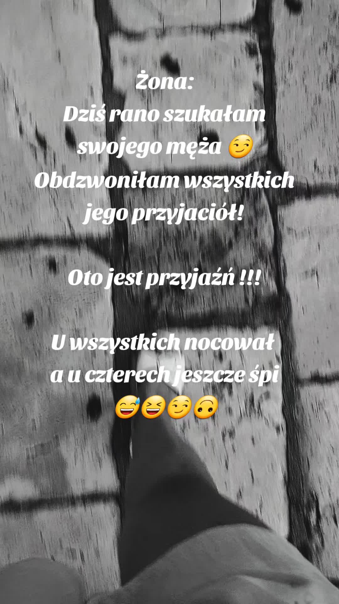@anulak1983
