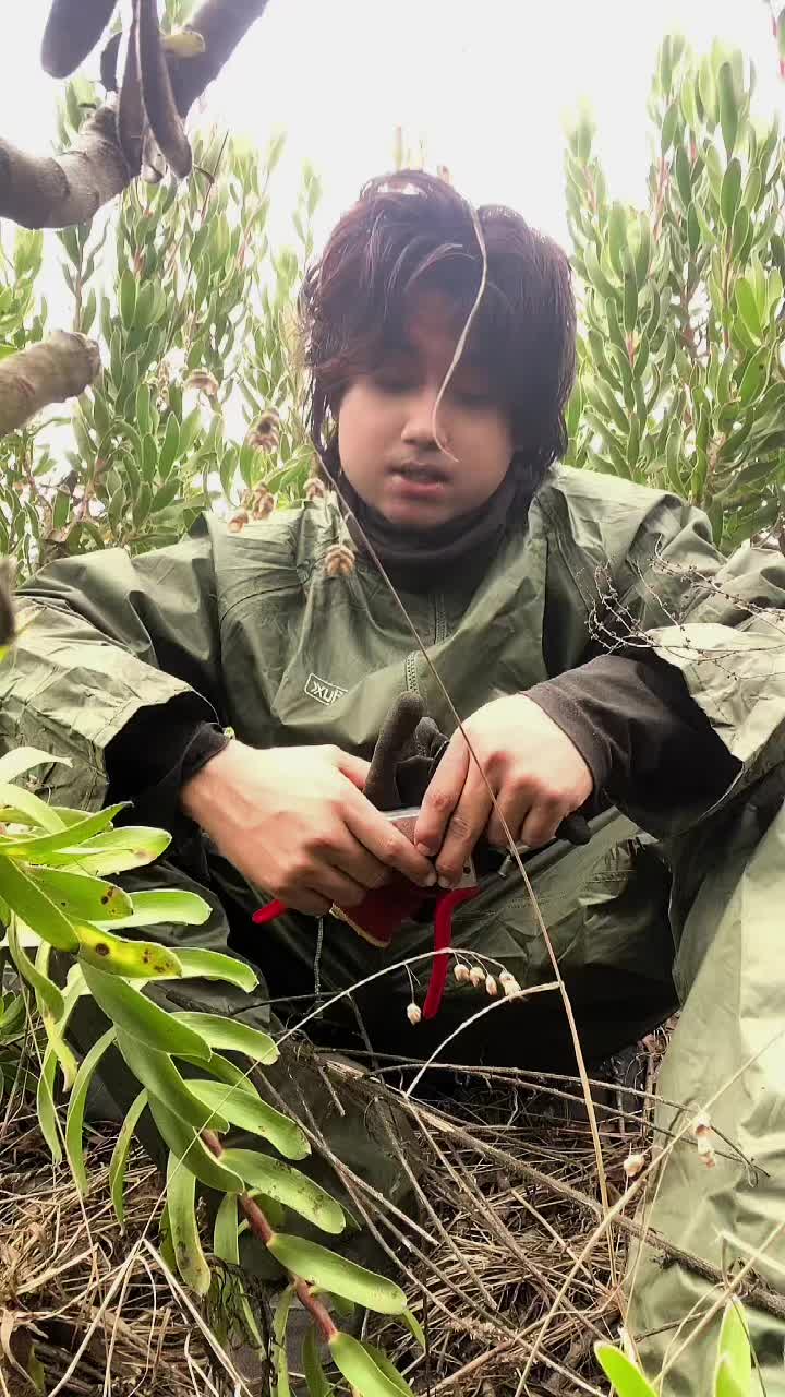 @🪈🦚
