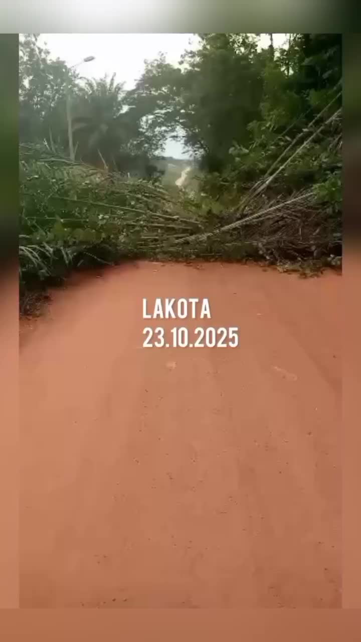 @user95272018429