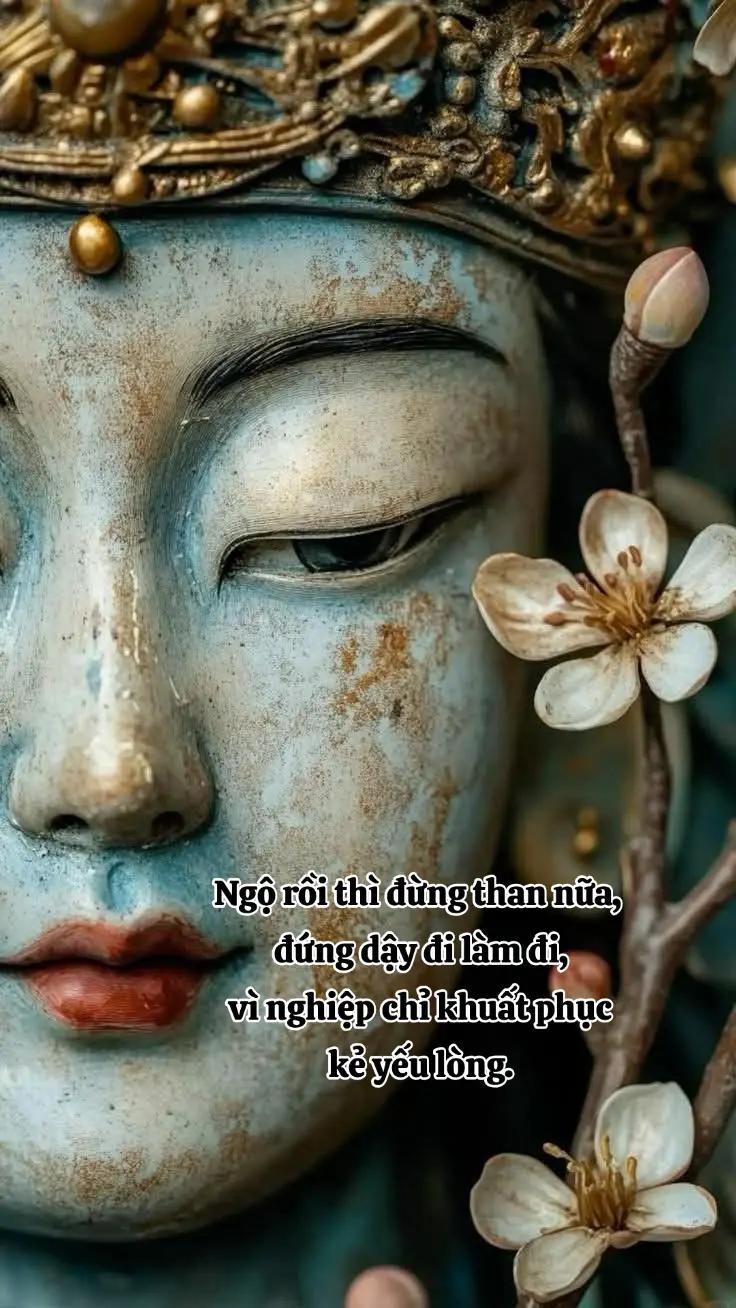 @Nương Theo B&oacute;ng Phật
