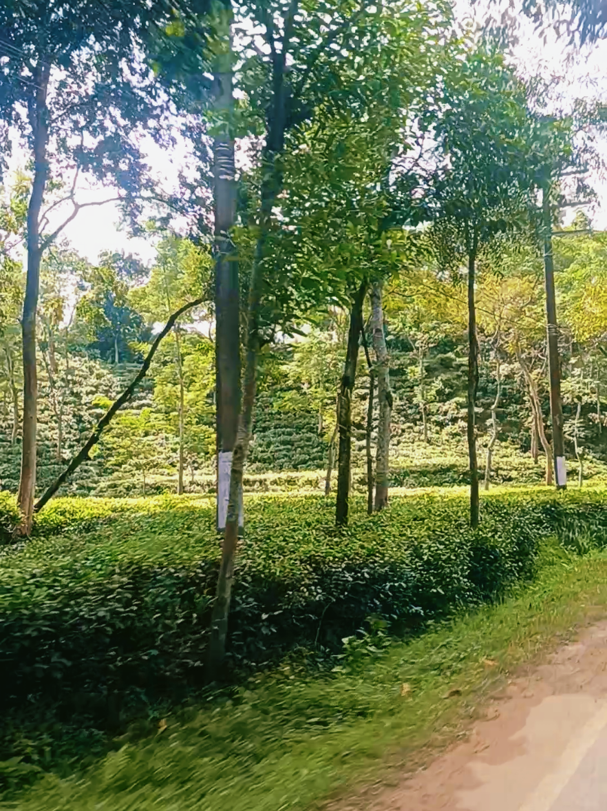 @আস্থাঘর - Asthaghor