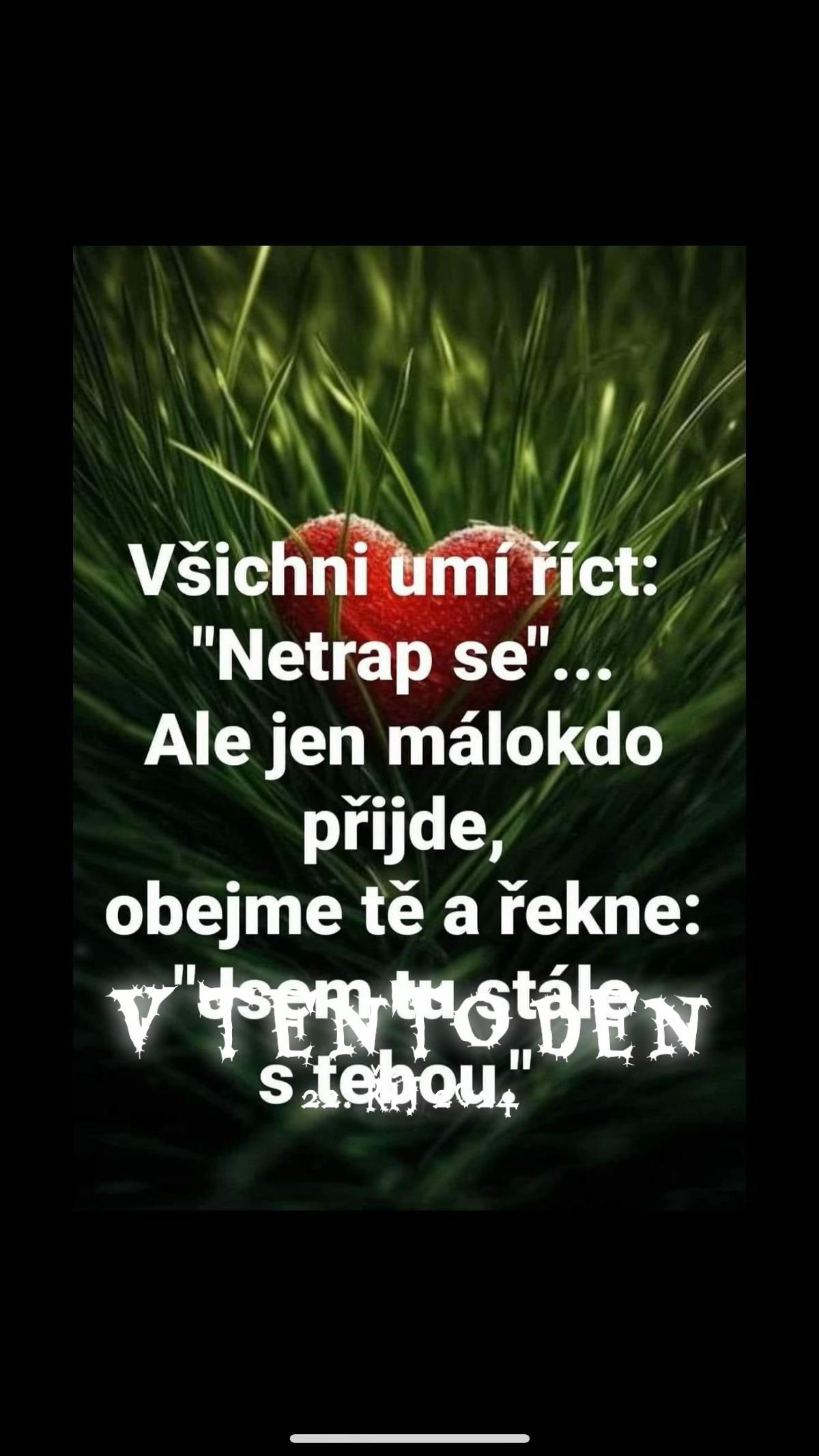 @Nikolka